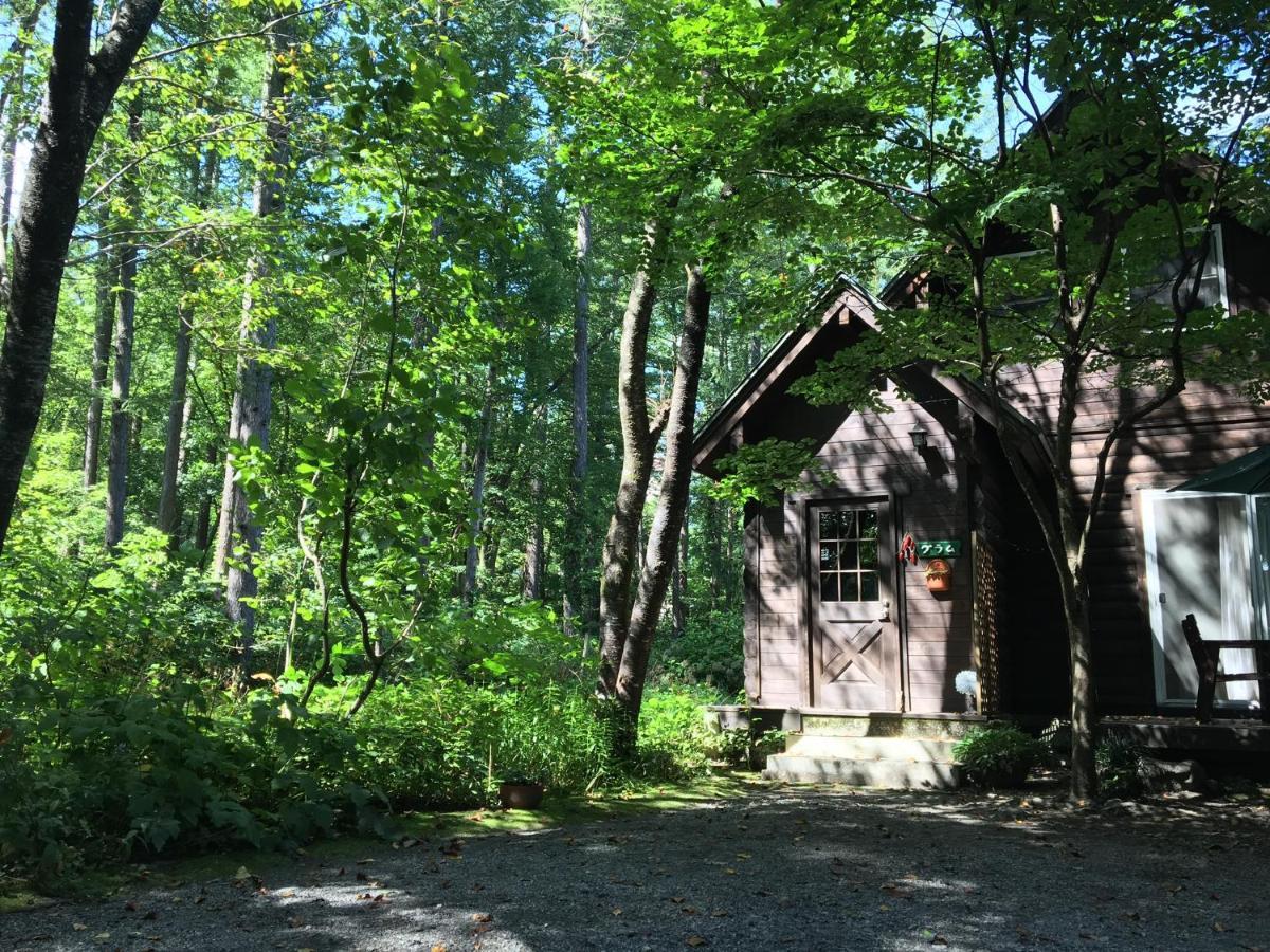 Hakuba Cottage Gram Exteriör bild